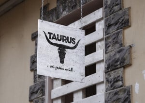 taurus - logo design